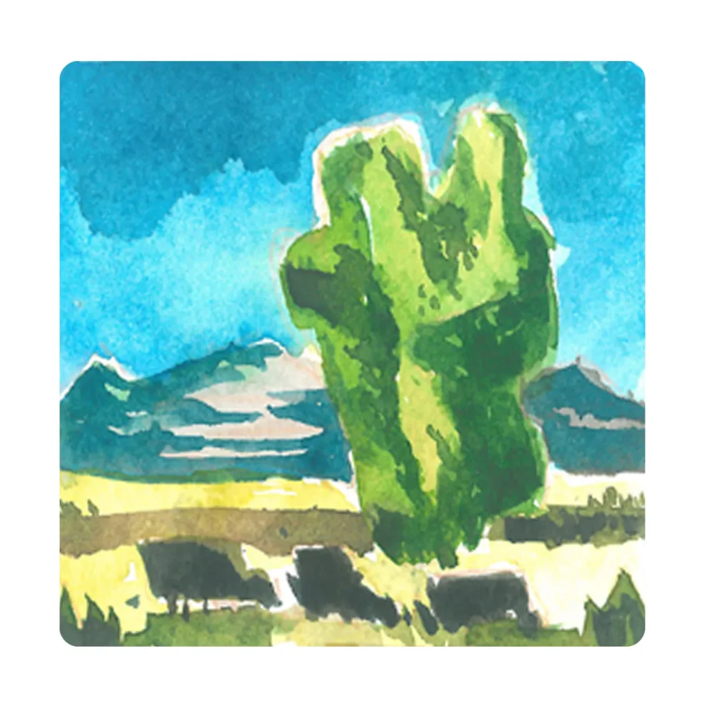 opti landscape06